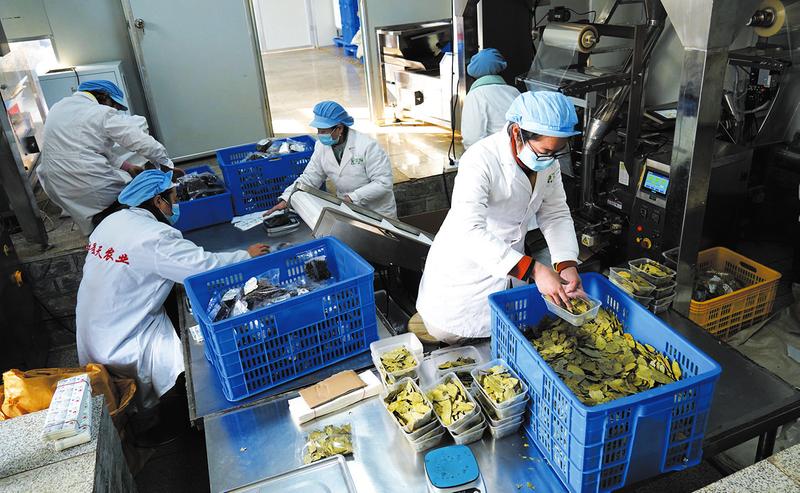 2020年随州经济总量_随州2020年高铁规划图(2)
