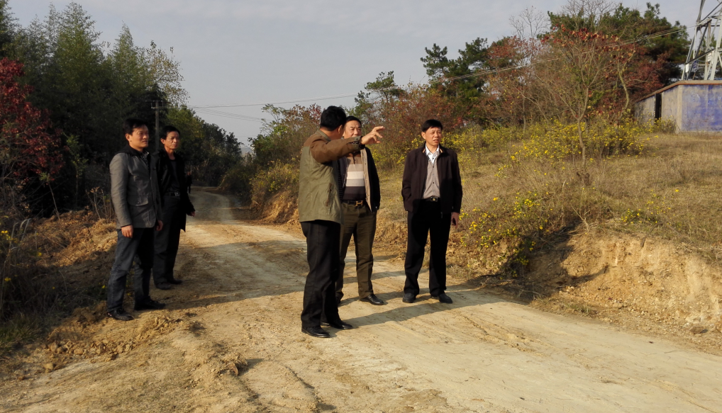 朱隽在安陆洑水殷棚村实地调研修建"村级公路"情况