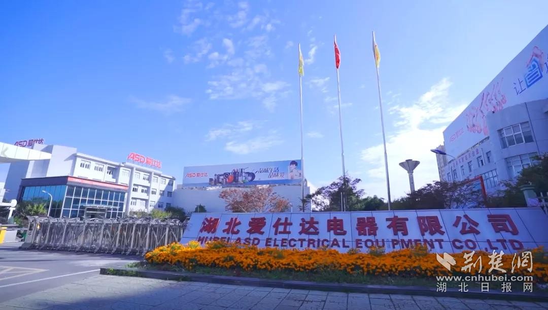 安陆gdp_安陆白花菜