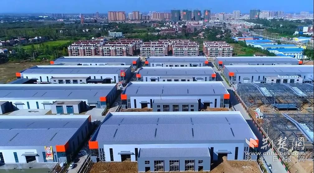 安陆gdp_安陆白花菜