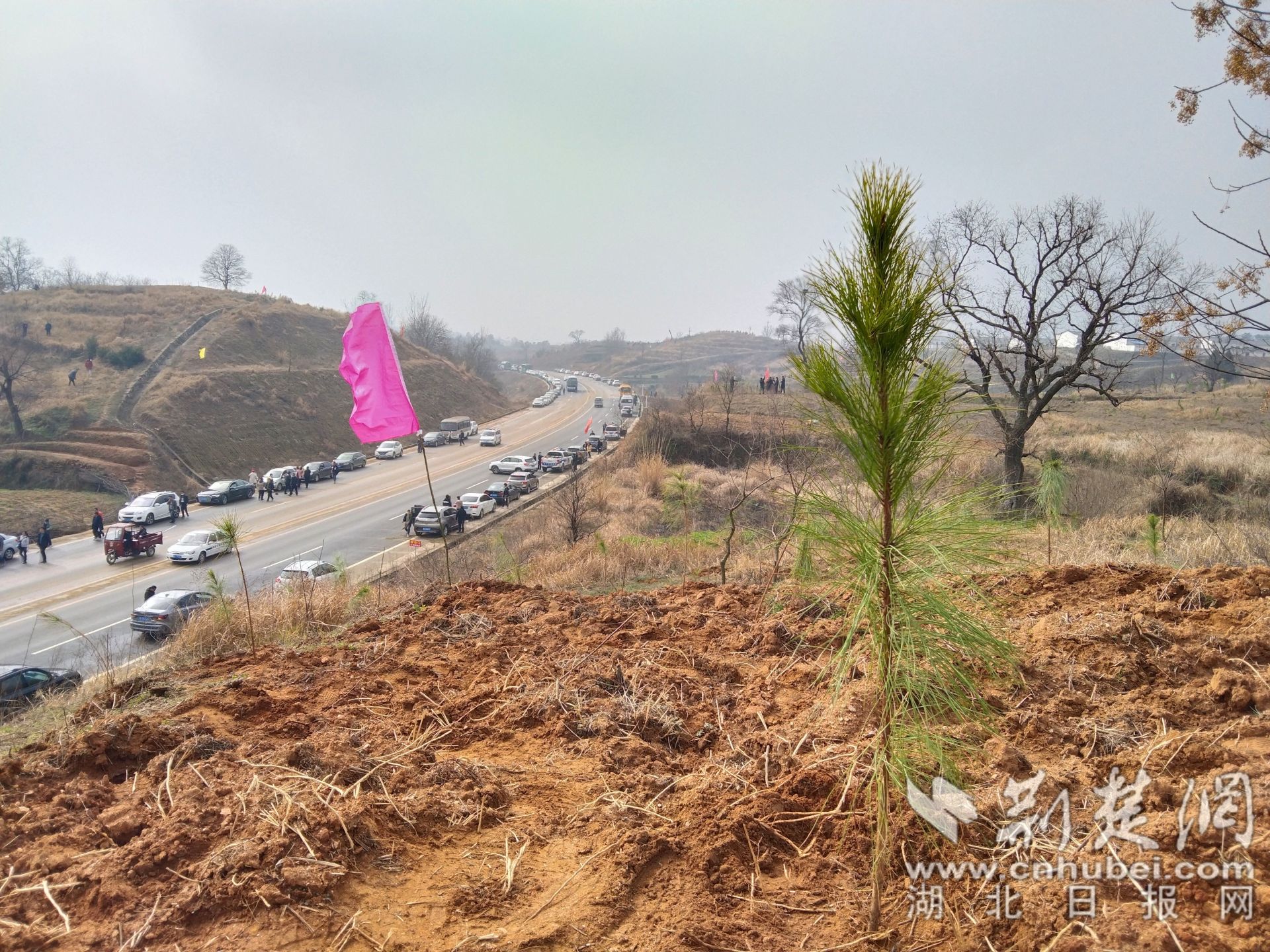 g346国道大悟县新城段沿线.通讯员 供图