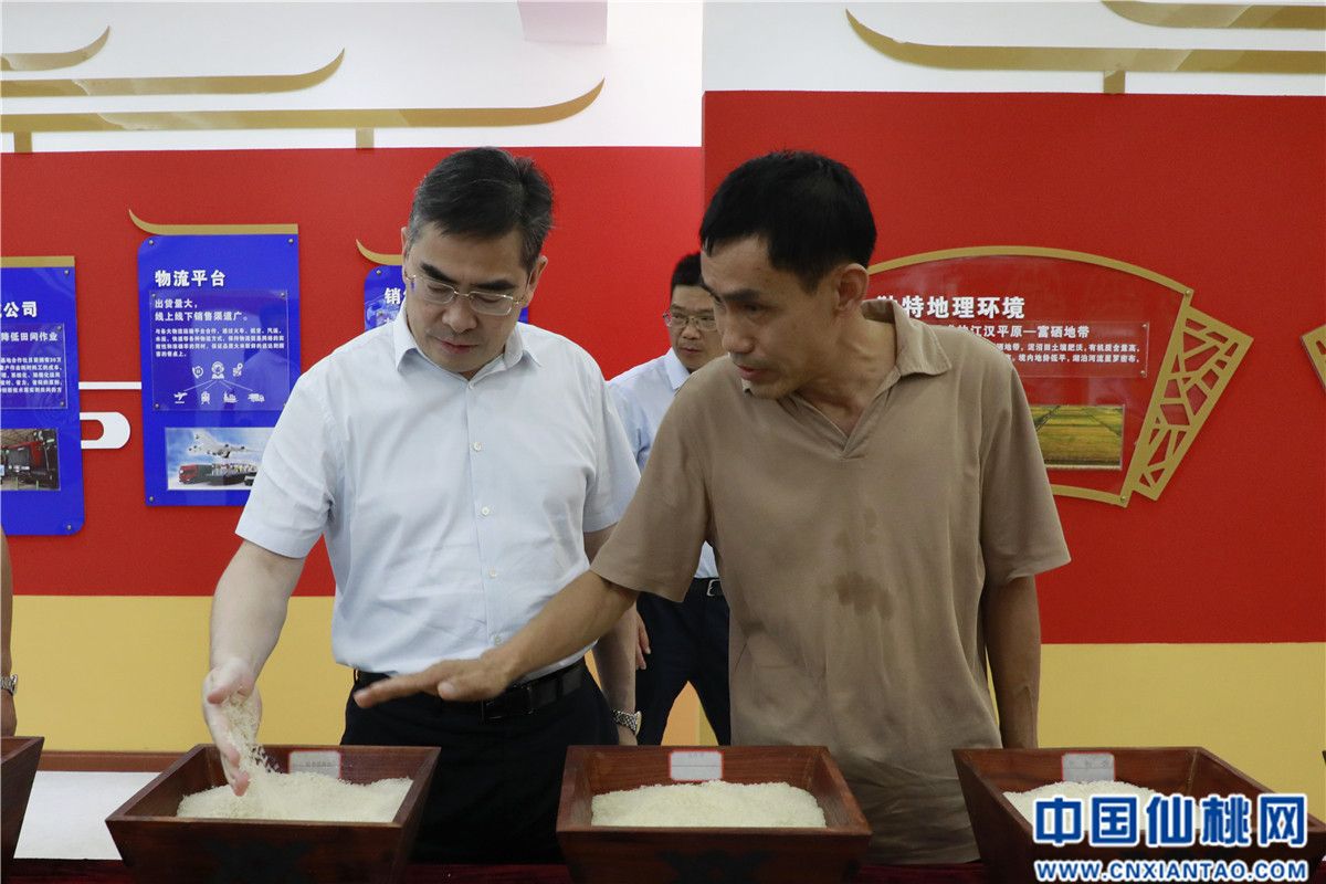 仙桃市长孙道军调研全市粮食工作