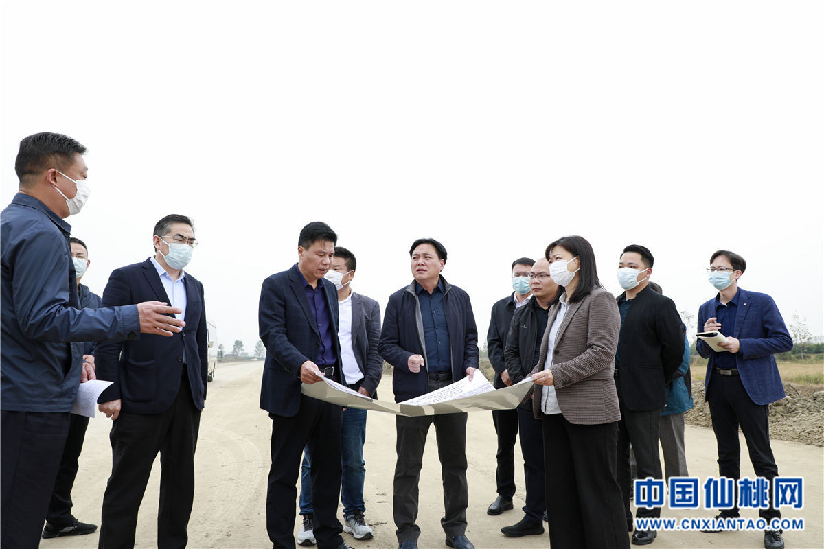 罗联峰孙道军调研南城新区控制性详规和城市设计初步方案编制工作