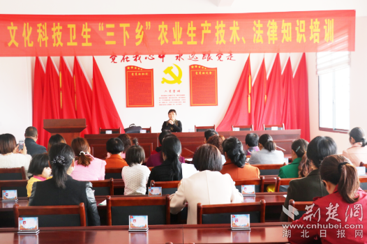 微信图片_20211209183256_副本.png.png