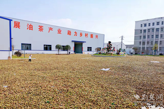 微信图片_20211208125955_副本.jpg