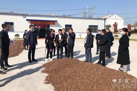 微信图片_20211208125951_副本.jpg