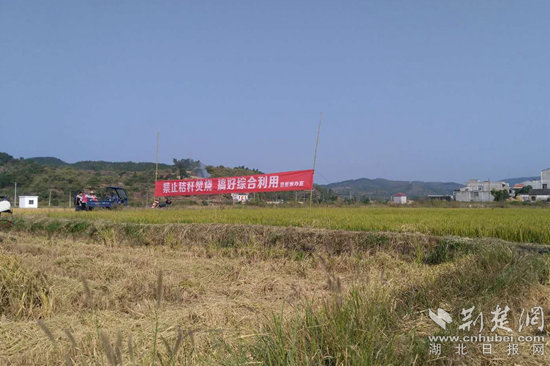 微信图片_20211201134720_副本.jpg