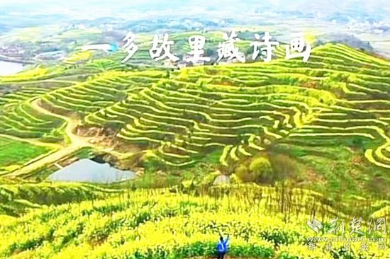 微信图片_20220117171849_副本.jpg.jpg