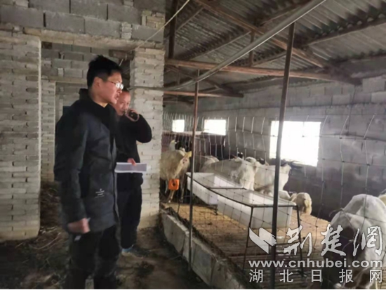 市水利与湖泊局驻陈贵镇江添受村工作队在脱贫户方周海山羊养殖点.jpg
