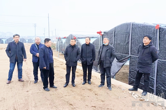 微信图片_20220111114226_副本.jpg