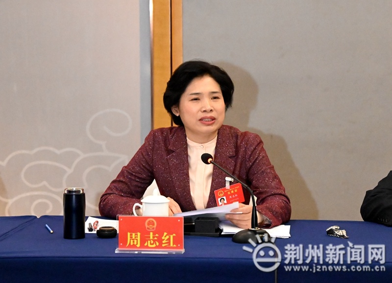 荆州新闻网消息(记者杨辉)今天(1月8日)上午,市委副书记,市长周志红