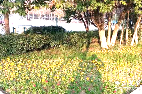 图片1_副本.png.png