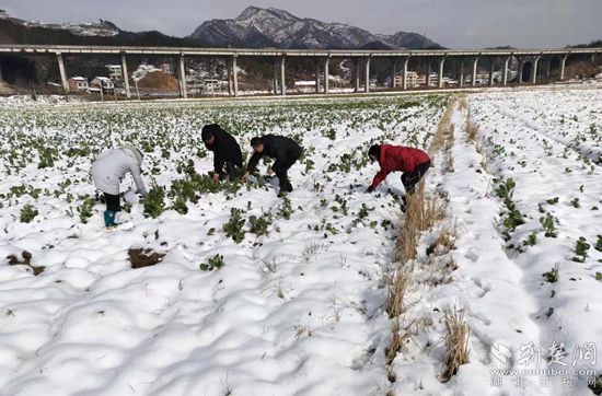 微信图片_20220208212419_副本.jpg