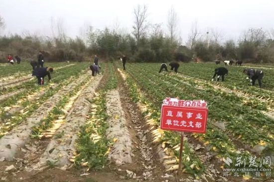 微信图片_20220216193631_副本.jpg