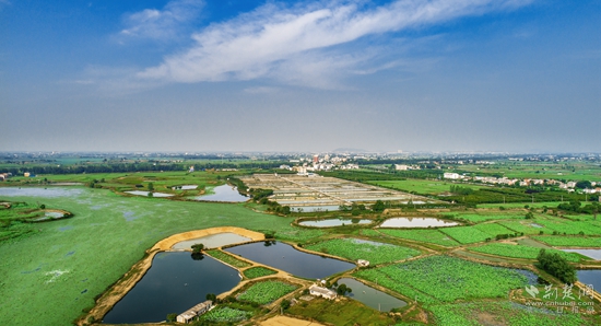 蒲团乡横山水产养殖基地.jpg