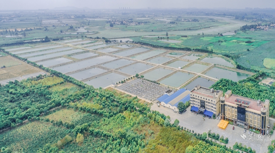 蒲团乡盛丰渔业水产品生态养殖基地.jpg