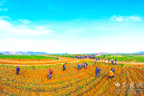 微信图片_20220225003746_副本.png.png