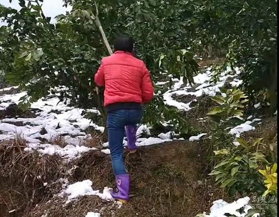 d21e6fa971e480482c37123e1fe75ed.jpg.jpg