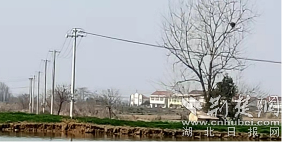 微信图片_20220228110833.jpg