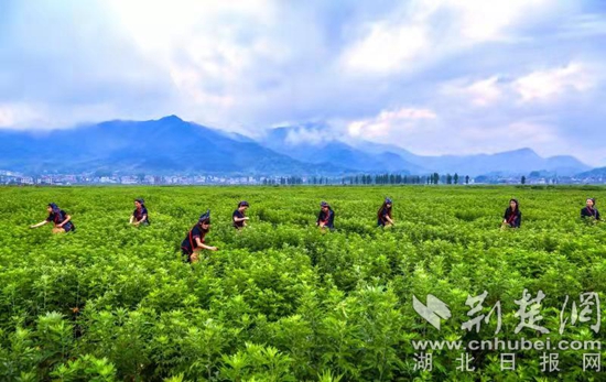 微信图片_20220225140858.jpg