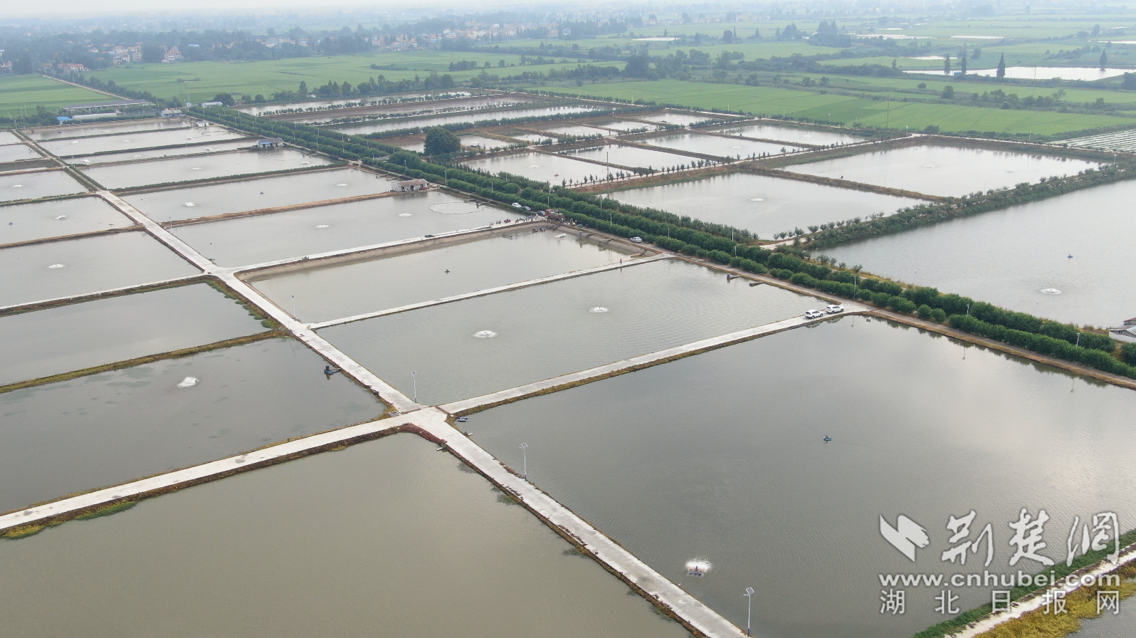 云梦县沙河乡北湖垸水产养殖基地.png.png