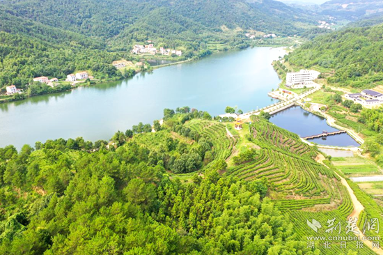 牛车河乡村振兴示范区项目现场_副本.png.png