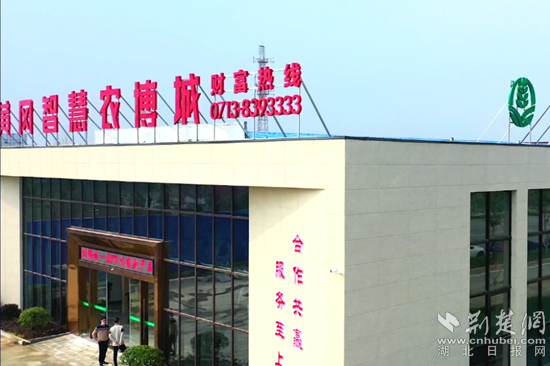 图片6_副本.png.png