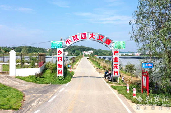 图片3_副本.png.png