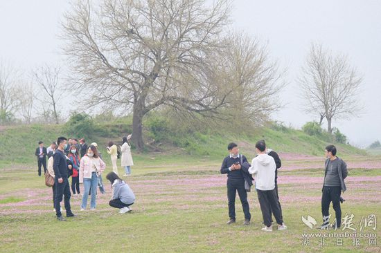 微信图片_20220331161611_副本.jpg