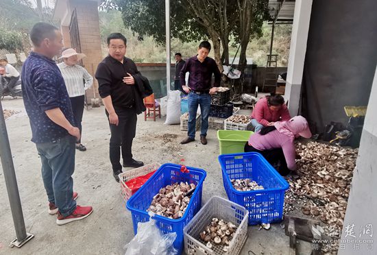 微信图片_20220316185530_副本.jpg