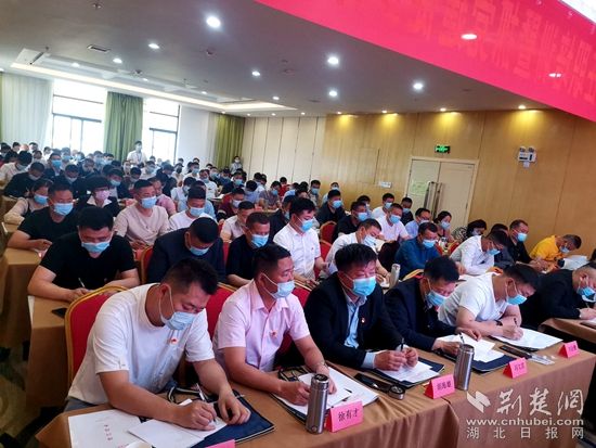 培训会现场.jpg.jpg