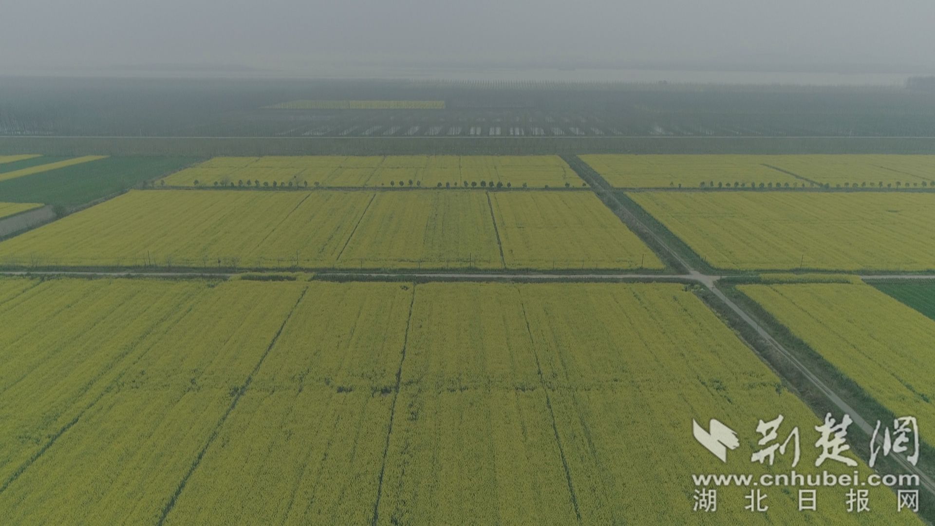 吴王庙村 (4)_副本_副本.jpg.jpg