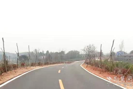 图片3_副本.png