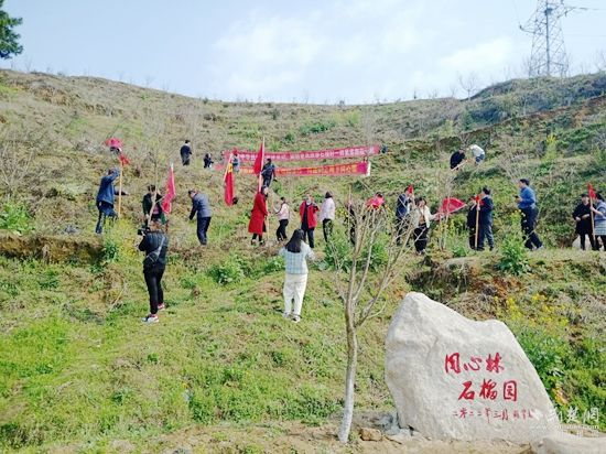 图片2.jpg.jpg