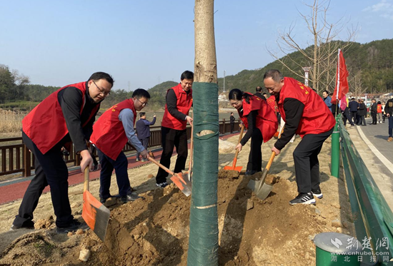 图片3_副本.png.png