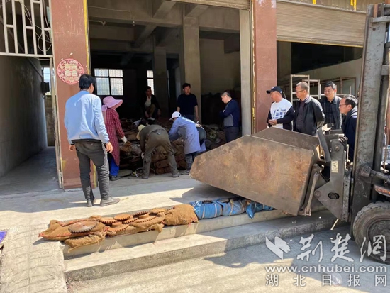 微信图片_20220317115253.jpg