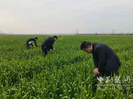 微信图片_20220401174154.jpg