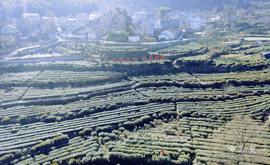 图片7_副本.png.png