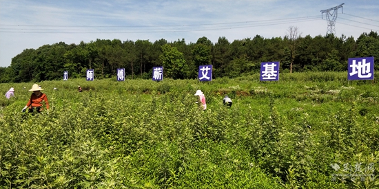 4fe2d39229d781e2509ceaad8055799.jpg
