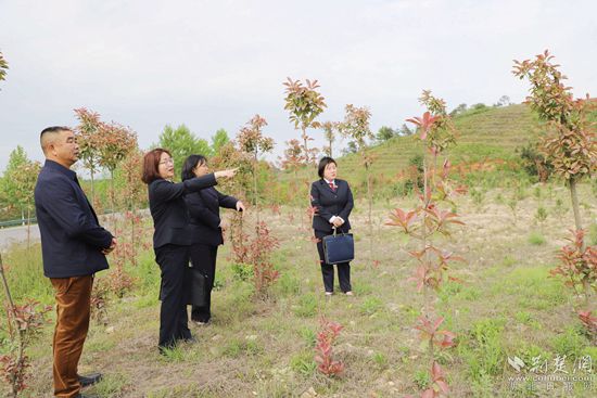 检察官现场查看补植复绿情况_副本.jpg