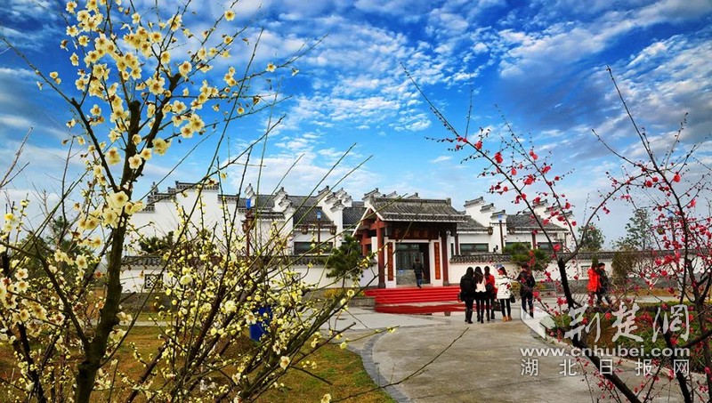 图片3.jpg