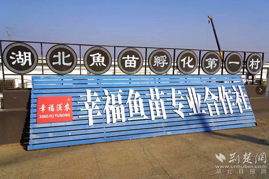 6、湖北鱼苗第一村_副本.jpg