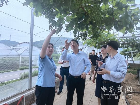 微信图片_20220601112800.jpg.jpg