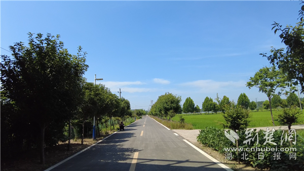 微信图片_20220713201751.png.png
