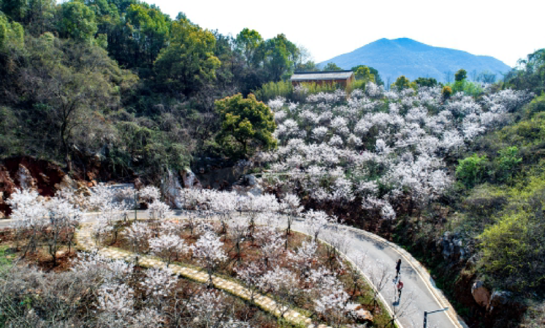 640?wx_fmt=png&wxfrom=5&wx_lazy=1&wx_co=1