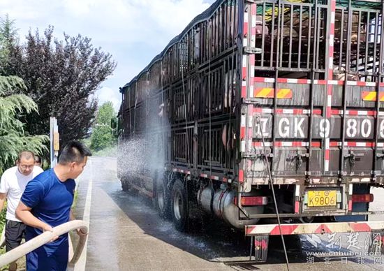 眼见一车生猪被救，长途司机李师傅终于松了口气 (2)_副本.jpg