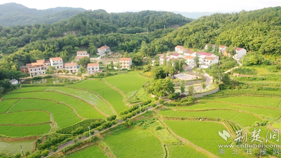 余川镇美丽乡村建设 (2).jpg