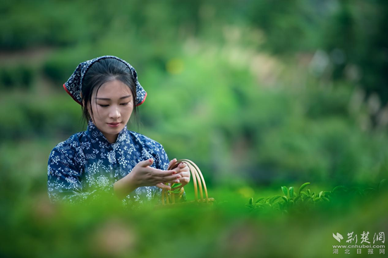 图片12_副本.png.png