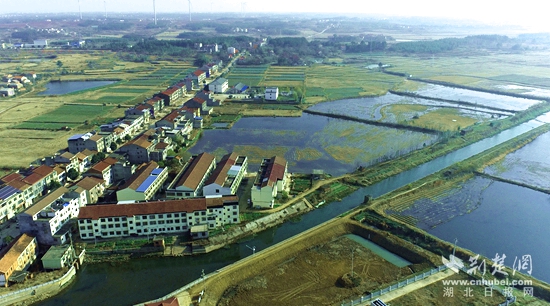 航拍图2 .jpg