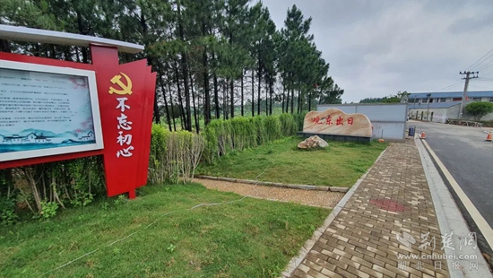 乡村振兴3.jpg